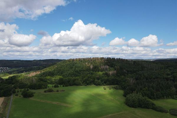 Bewaldete Hügelkuppe über den Wiesen