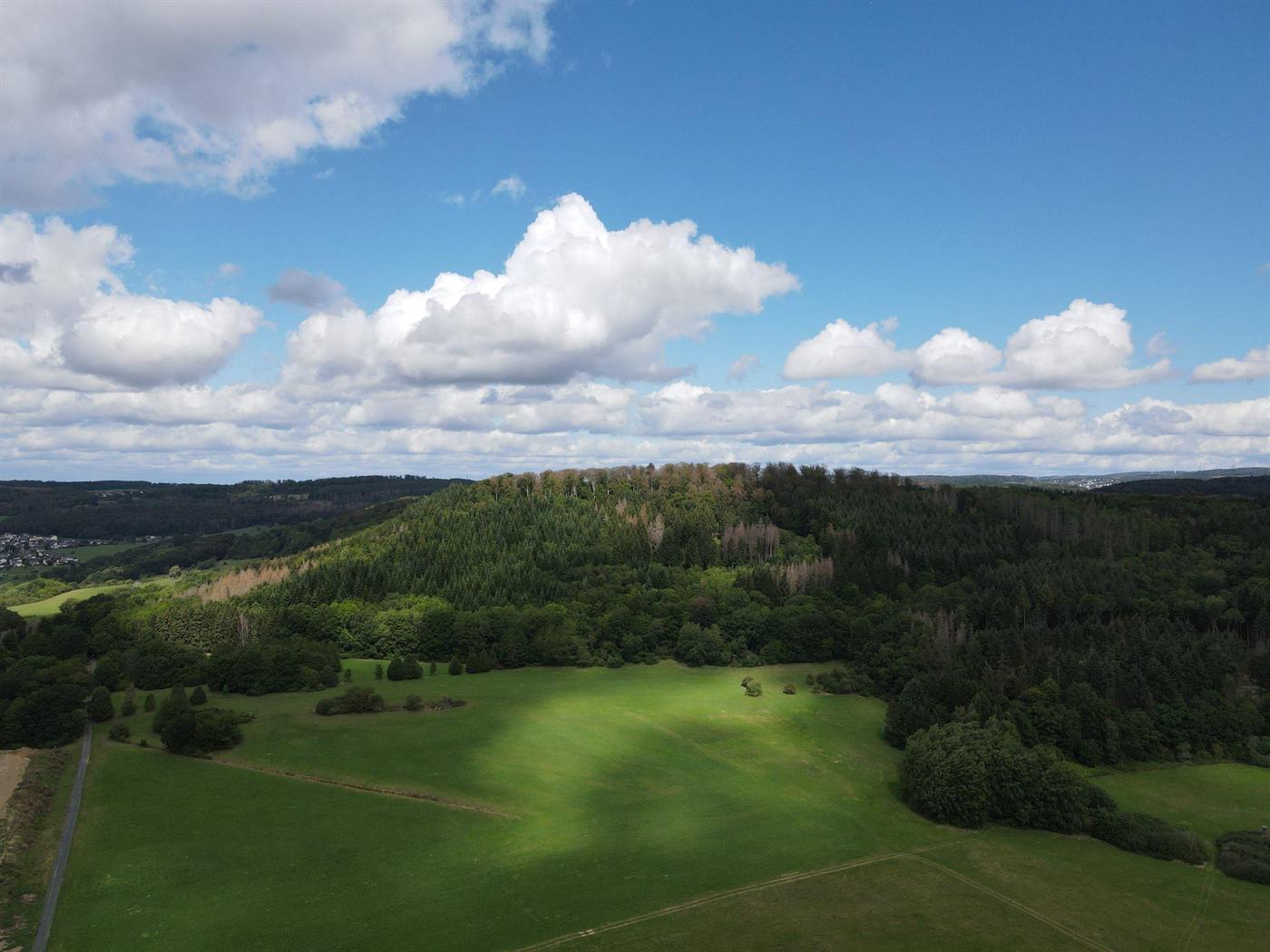 Bewaldete Hügelkuppe über Wiesen und Feldern im Westerwald.