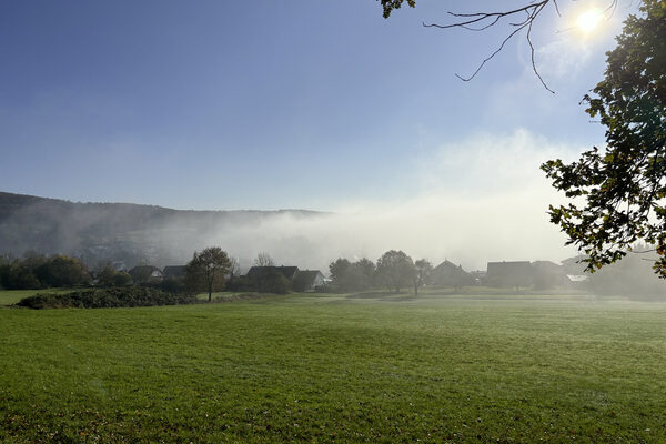 Morgennebel über den Wiesen am Ortsrand von Langendernbach