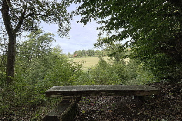 Holzbank im Grünen mit Blick auf Felder und Waldrand
