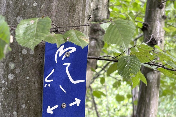 Wegzeichen der Gaasebock-Runde an einem Baumstamm