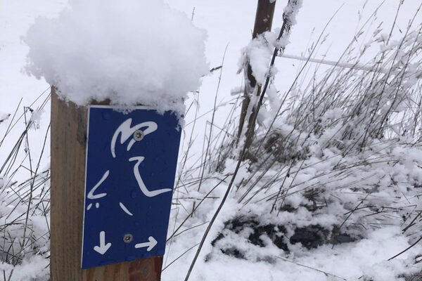 Verschneites Wegzeichen der Gaasebock-Runde im Winter