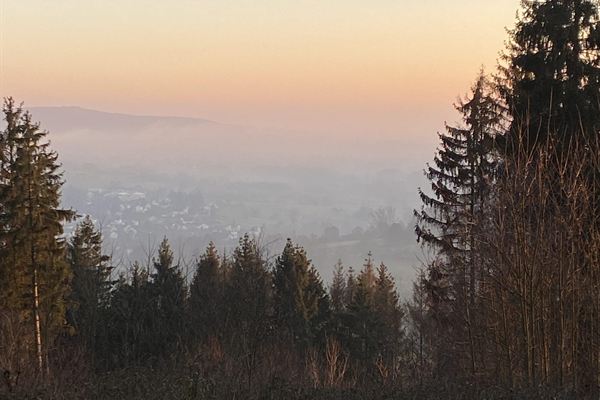 Blick über die Baumwipfel ins Tal bei Sonnenuntergang