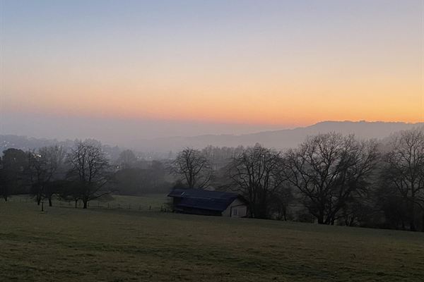 Morgennebel über den Wiesen am Ortsrand
