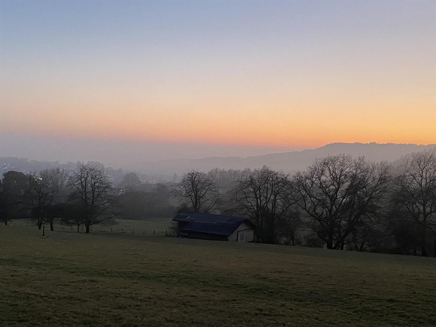 Morgennebel über den Wiesen und Bäumen am Rand von Langendernbach.